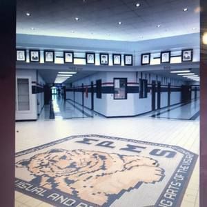 Meet your Posher, Timothy